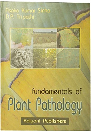 single-product-image